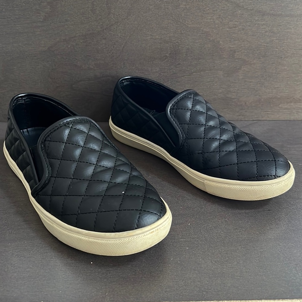 Steve Madden Ecentrcq Sneaker